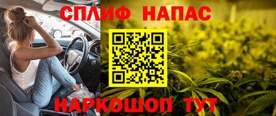 индика Краснознаменск